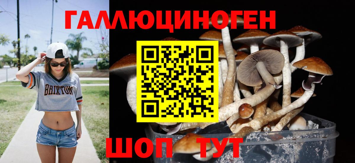 Апшеронск  Псилоцибиновые грибы Psilocybe  Вход с VPN 